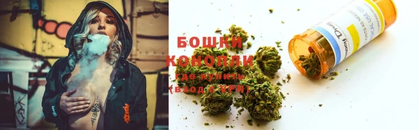 первитин Гусев