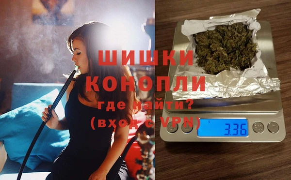 первитин Гусев