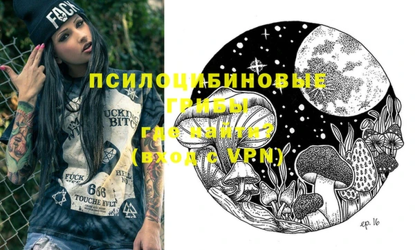 первитин Гусев