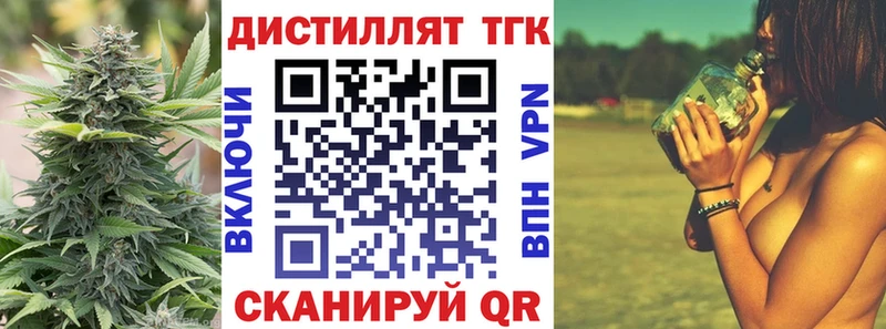 MEGA ССЫЛКА  где купить наркоту  Елизово  Дистиллят ТГК гашишное масло 