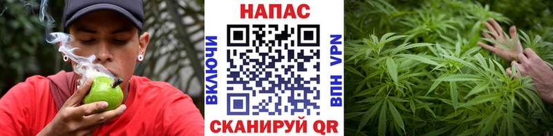Марихуана Amnesia Елизово